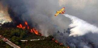 Vigili del fuoco Bat, 14 interventi giornalieri: «Rafforzare l’organico»