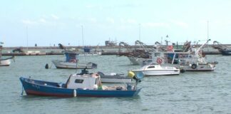 Fermo pesca, Riglietti (Flai Cgil): «I 20.60 euro di indennità giornaliera sono pochi»