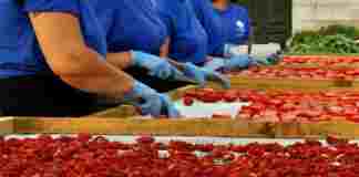 Mastrototaro Food porta la tradizione in piazza