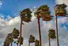 Allerta meteo vento: oggi chiusi cimitero, parchi e giardini pubblici recintati