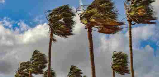 Allerta meteo vento: oggi chiusi cimitero, parchi e giardini pubblici recintati
