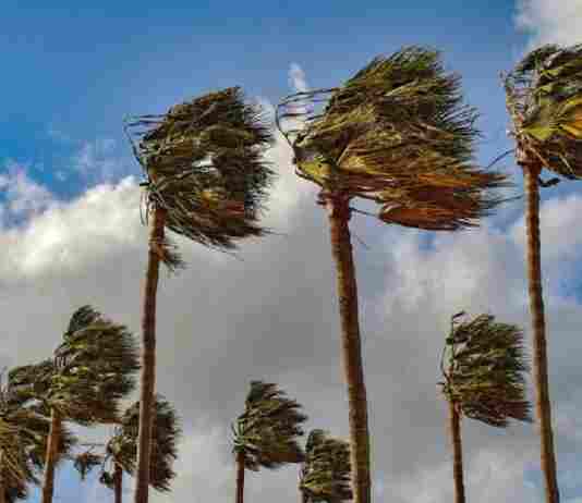 Allerta meteo vento: oggi chiusi cimitero, parchi e giardini pubblici recintati