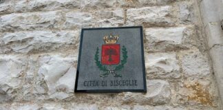 Giornata contro la violenza sulle donne, serie di iniziative a Bisceglie