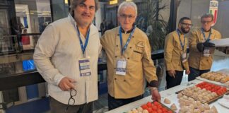 Il sospiro di Bisceglie protagonista al “San Nicola” per Italia-Malta