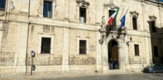 Campagna olearia 2023, in Prefettura un comitato per la sicurezza nelle zone agricole