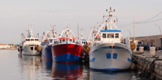 “Salviamo il mare”: al via l’iniziativa per la gestione sostenibile dei rifiuti recuperati durante la pesca