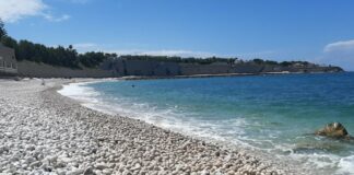 Sequestrati 710 ricci di mare in località Salsello