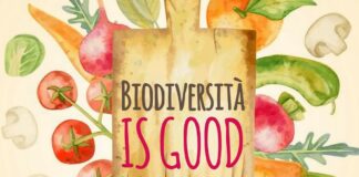 Il Rotary Bisceglie al fianco del nuovo corso della condotta Slow Food “Terre e Mare”