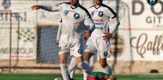 Il Bisceglie riceve la Molfetta Sportiva, probabile un moderato turnover