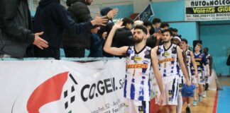 Lions Bisceglie a caccia dell’impresa sul parquet della vicecapolista