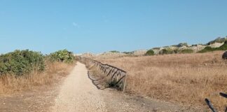 Divieto di transito sul tratto ciclopedonale tra via Capitini e zona di Ripalta