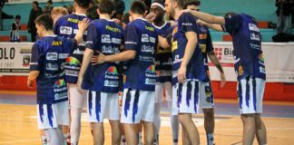 Lions Bisceglie, oggi sfida salvezza al PalaDolmen contro Vicenza