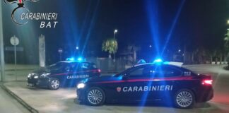 Controlli a tappeto sul territorio dei Carabinieri del Comando Provinciale, denunciate due persone