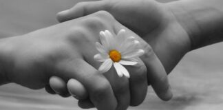 Nuovo avviso Progetti di Vita Indipendente e “Provi Dopo di Noi” finanziati dalla Regione Puglia