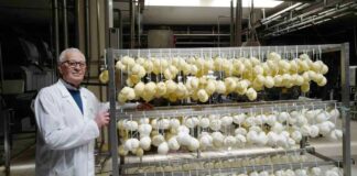 Rassegna fotografica “Bisceglie: storie di imprese e volti della Città” a Palazzo Tupputi