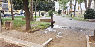 Giorgia Preziosa: “Quartiere San Pietro e quel verde pubblico mal curato”