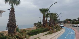 In corso l’attività di manutenzione del verde sul lungomare