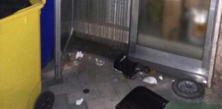 Tentativo di intrusione in un bar, malvivente messo in fuga dai Metronotte