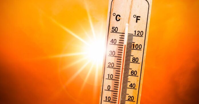 caldo-record-numero-emergenza-1500