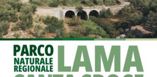 Istituzione del Parco Naturale Regionale “Lama Santa Croce”, incontro a Palazzo Tupputi