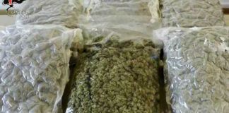 Droga in pacchi dalla Spagna nella BAT tramite corrieri ignari: 47 misure cautelari