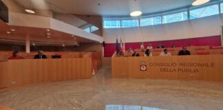 Ospedale del Nord Barese, Spina (FdI): «Buone notizie in audizione»