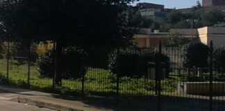 Giornata Mondiale della Gentilezza, l’assessore con delega Rigante annuncia iniziativa al parco don Milani