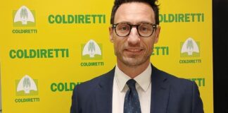 Coldiretti Puglia, è Luca Celestino il condirettore della Federazione di Bari e Bat