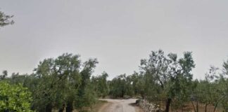 Lavori di scavo per un nuovo cavidotto Enel, limitazioni al transito in via Terlizzi