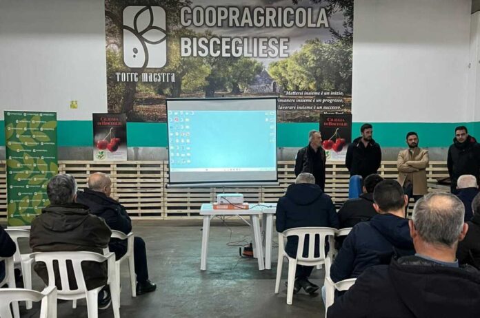 c049731f-de4a-4b8d-8d8e-f56cb1fff9d1