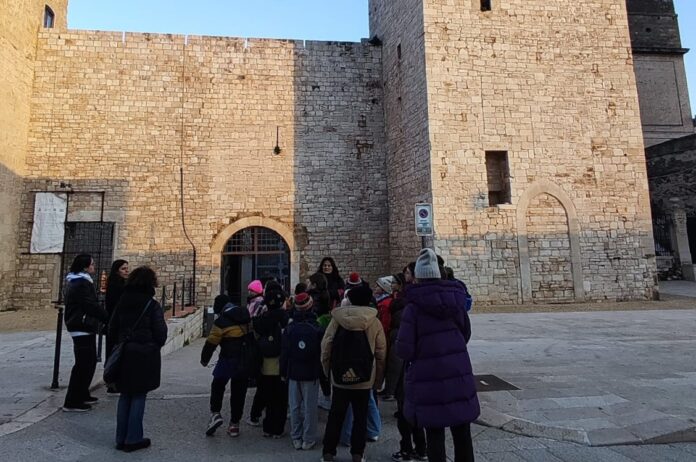 480874159_955860733301987_7701022926218488290_n