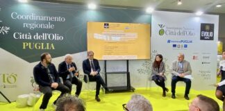 Evolio Expo: Confcommercio Bisceglie crea sinergie per il turismo enogastronomico