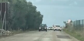 SP 13 Bisceglie-Andria, Sinistra Italiana: «Strada pericolosa e insicura, basiti per l’inerzia della Provincia»