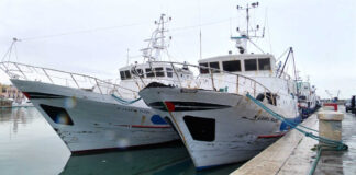 Crisi della pesca dei piccoli pelagici in Adriatico: un settore a rischio collasso