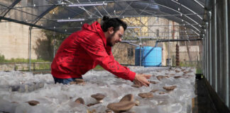 Agricoltura e inclusione sociale: all’Orto Schinosa decolla il progetto “ColtivaMente”