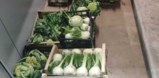 Attività commerciale senza licenza e in zona vietata, multe e sequestri