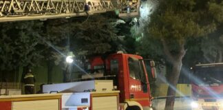 Cede grosso ramo di uno dei pini di via Di Vittorio, intervento dei Vigili del Fuoco