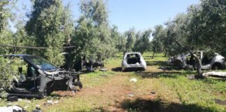 Quattro vetture cannibalizzate rinvenute dalle Guardie Campestri in Contrada Sagina