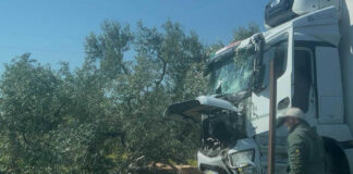 Nuovo incidente sulla SP 33 “Andria – Bisceglie”: fuori strada un camion
