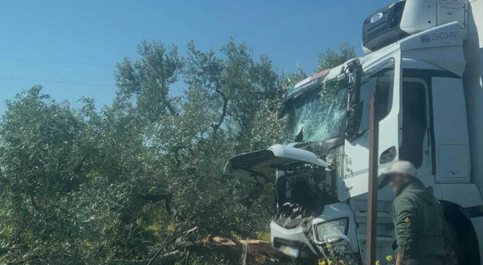 cronaca-camion-fuoristrada-1