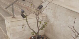 Fuochi d’artificio e “brindisi” sul sagrato della chiesa, sacerdote e fedeli denunciano la situazione insostenibile