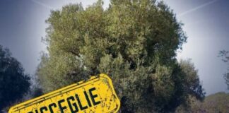 “Xylella: allo stato dei fatti”, convegno al Politeama Italia
