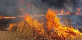 Rischio incendi in terreni incolti, c’è l’ordinanza sindacale: multe fino a 5mila euro per i trasgressori