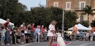 “Cani in Passerella” incanta Bisceglie: emozioni, solidarietà e amore per gli animali