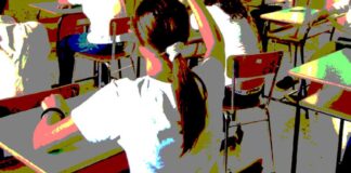 Servizio di assistenza educativa specialistica scolastica, i rilievi di Giorgia Preziosa