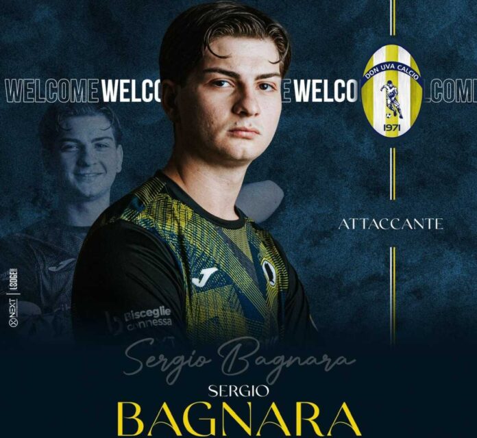 Bagnara