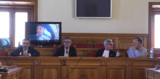 Incontro sulla Xylella, illustrate proposte integrative al piano approntato dalla Regione