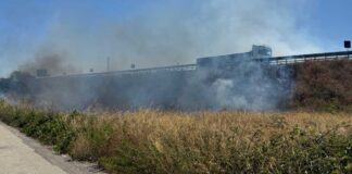 Agro di Bisceglie: incendio nei pressi della strada statale 16 bis direzione Foggia