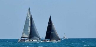 Vela, successo alla prima edizione della regata “Città di Bisceglie”