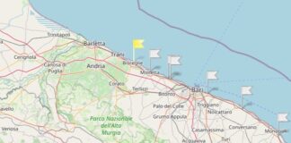 Dati Arpa Puglia su alga tossica: densità “discreta” in corrispondenza di Bisceglie